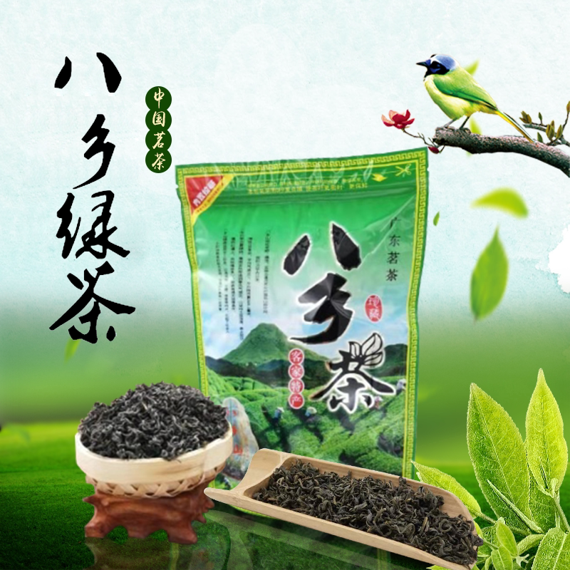 梅州农家炒茶丰顺八乡茶新头春潮汕揭阳坪上大洋日照高山绿茶浓香