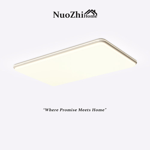 【诺之家】现代简约客厅灯