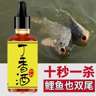 纯丁香油钓鱼小药公丁香酒三香油野钓鲫鱼鲤鱼专用冬季诱鱼开口剂