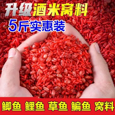 野钓鲫鱼饵料打窝料米麦窝酒米打窝米谷麦底窝传统钓逗钓麦子诱鱼