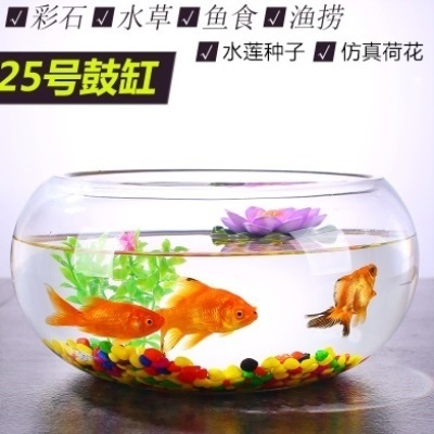 养金鱼的用品价格 养金鱼的用品图片 星期三