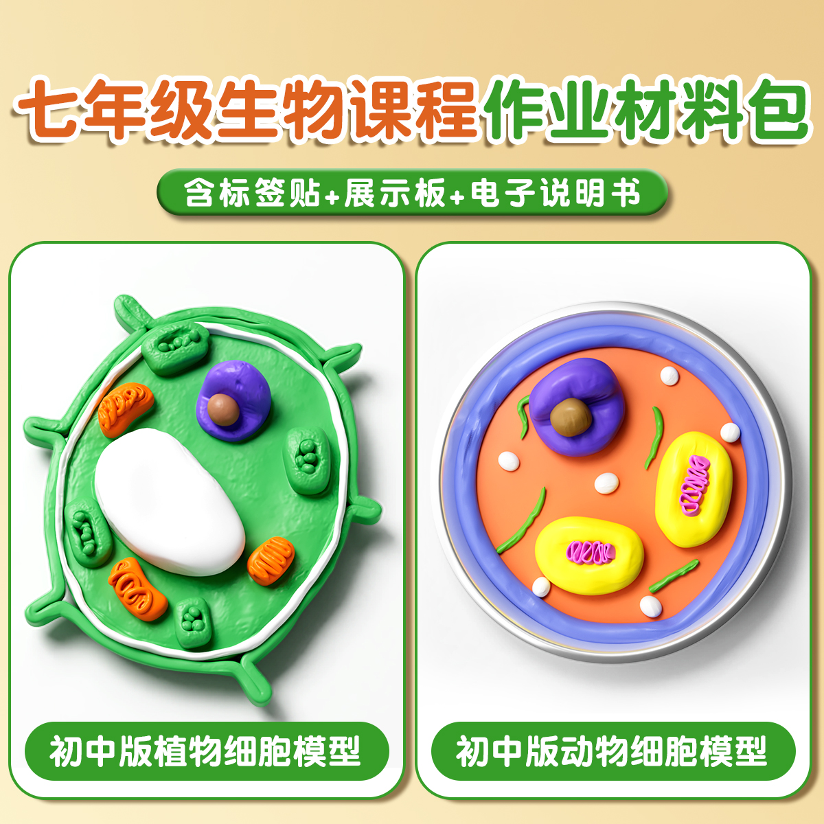 动植物细胞模型手工制作真核材料包自制款七年级初中生物作业细菌diy制作初高中生物三维真核细胞模型成品