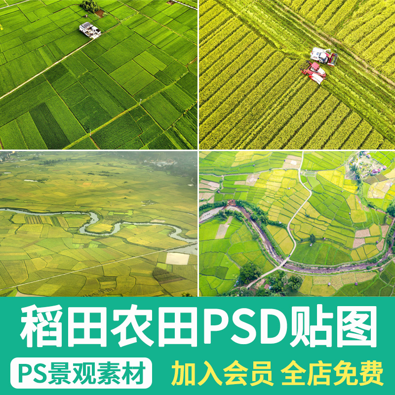 稻田农田平面JPG贴图美丽乡村田园梯田景观规划鸟瞰效果图psd素材