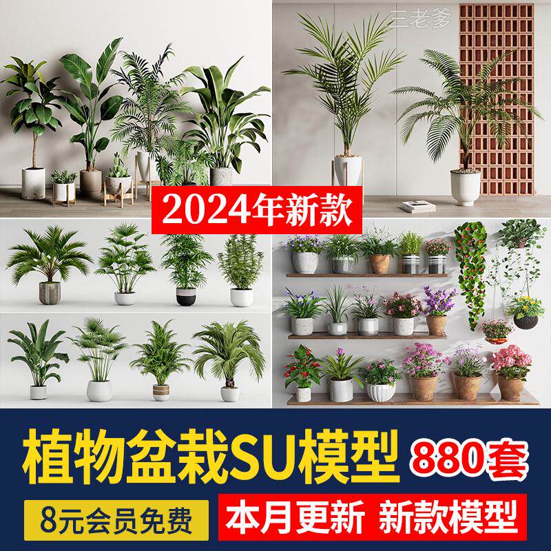 绿植植物花盆盆栽盆景松树单体草图大师SU模型室内花卉花草素材库