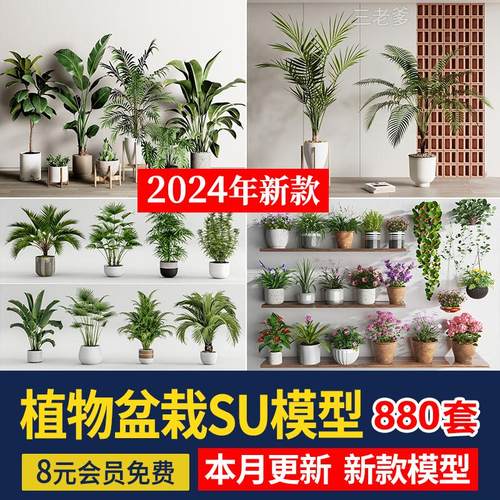 绿植植物花盆盆栽盆景松树单体草图大师SU模型室内花卉花草素材库