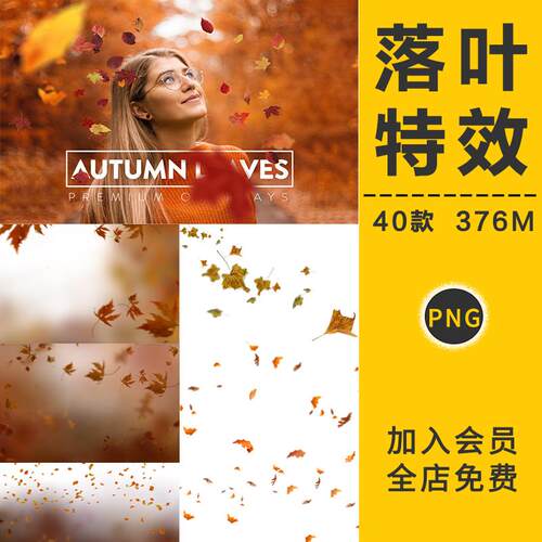 金色秋天落叶枫叶飘落图片外景后期合成装饰PNG免抠PS设计元素材