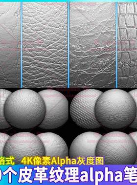 Zbrush衣服皮革皮包鳄鱼皮纹理细节alpha雕刻笔刷SP贴图纹路材质