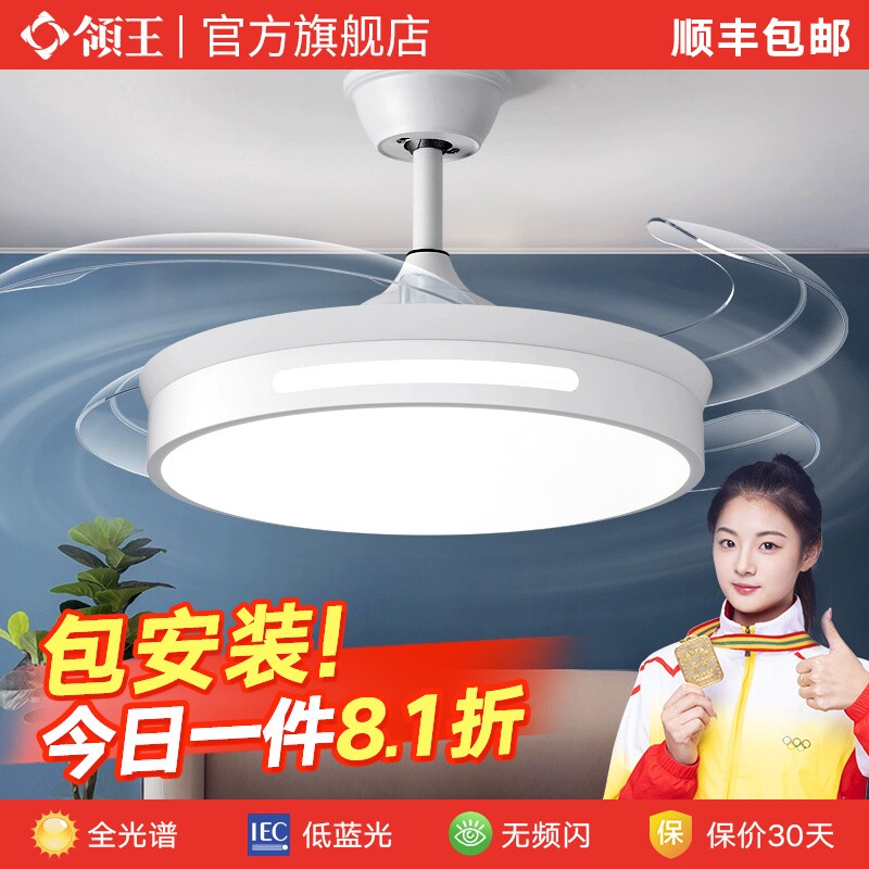 领王隐形风扇灯吊扇灯客厅餐厅卧一体室家用现代简约吊顶电扇吊灯