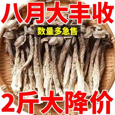 鹿茸菇干货500g包邮鹿茸菌鹿茸菇非特级云南特产香菇脆脆菇煲汤材