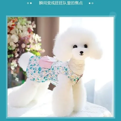 狗狗衣服裙子比熊公主裙夏天宠物薄款小型犬夏季猫咪贵宾泰迪博美