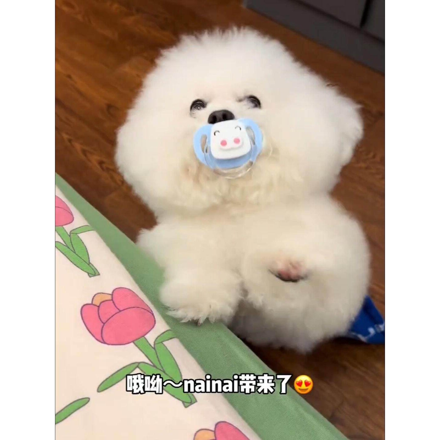 宠物玩具小狗磨牙解闷幼犬比熊新生睡觉仿生奶嘴狗狗专用安抚奶嘴