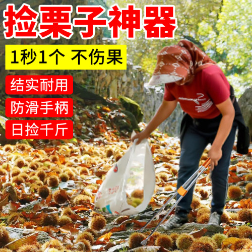 捡板栗专用不锈钢夹子不弯腰工具
