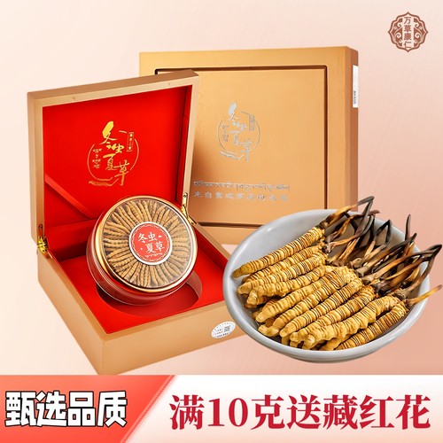 【高端礼赠】冬虫夏草礼盒装