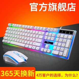 电脑机械手感背光键盘鼠标一件套件 追光豹G21有线usb发光键鼠套装