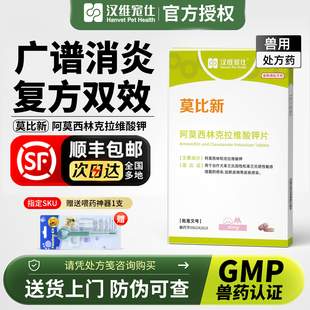 汉维宠仕莫比新阿莫西林克拉维酸钾片宠物狗猫消炎感冒药咳嗽鼻支