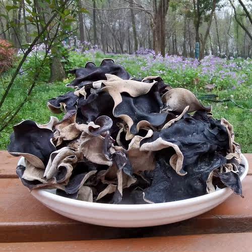 木耳干货无根白商用500g散装包邮