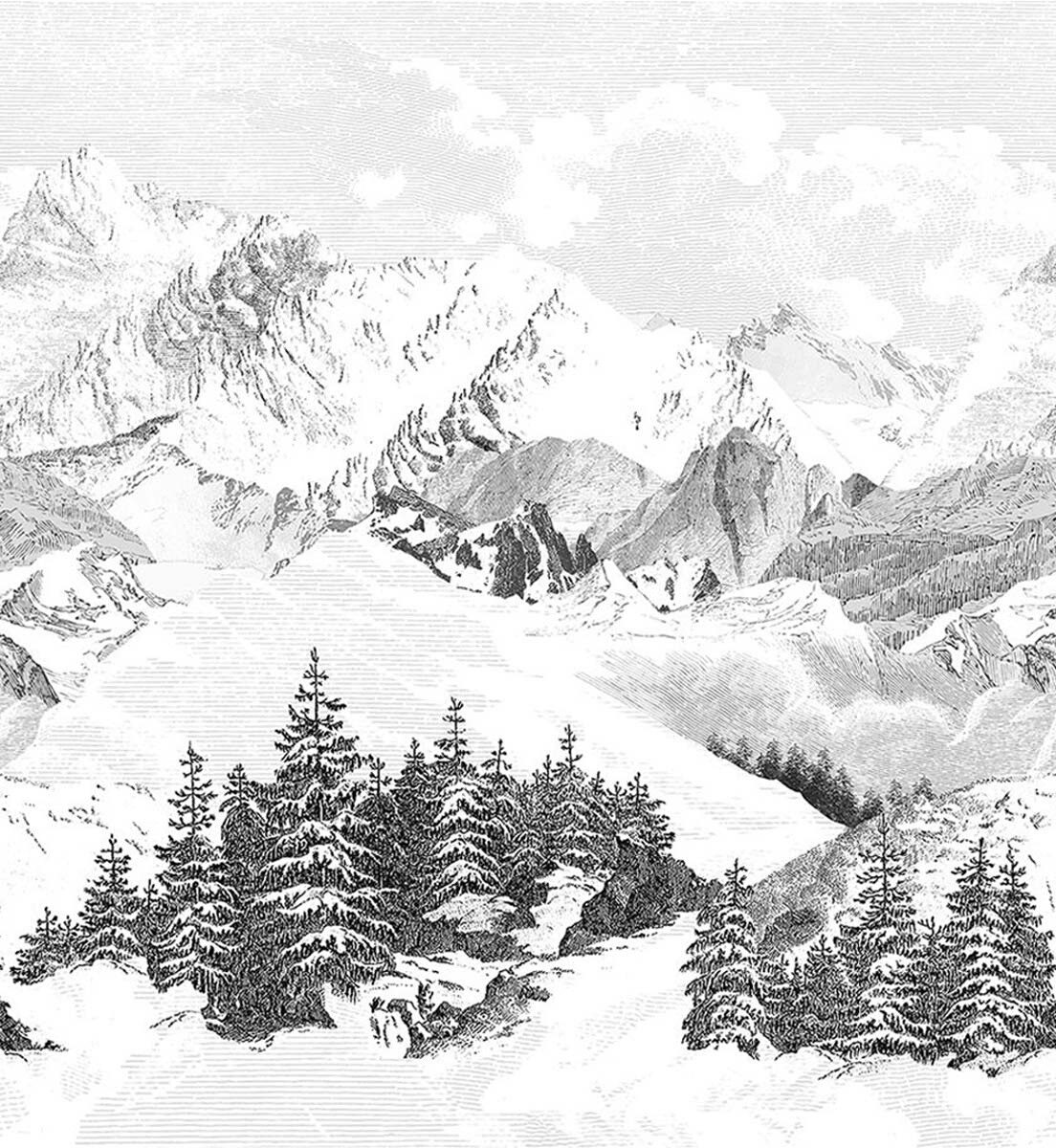 isidoreleroylà-hautpanel法国定制壁画雪山牆紙330x300cm