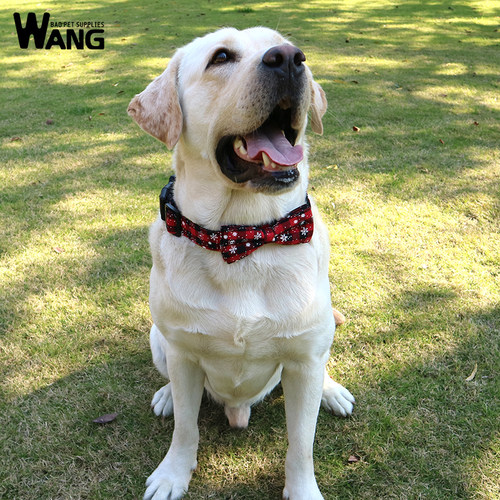 狗狗配饰圣诞蝴蝶结中大型犬项圈