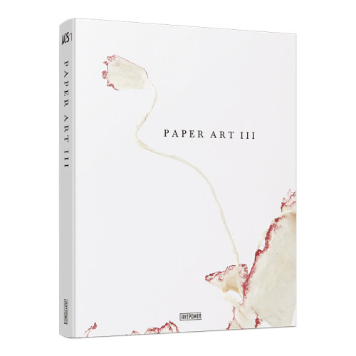 【现货】 纸艺术Ⅲ  Paper Art III  纸艺设计  纸艺书籍 空间点缀  房屋布置 橱窗装饰