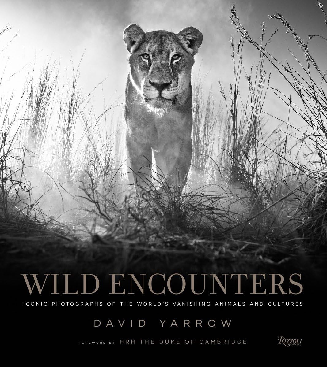 【预售】Wild Encounters 野生遭遇:世界上正在消失的动物和文化的标志性照片 进口书籍 摄影书籍