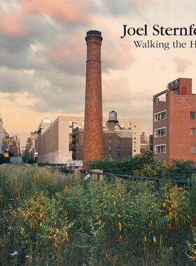 【预售】乔尔斯特恩菲尔德:走高路线:修订版 Joel Sternfeld: Walking the High Line: Revised Edition 进口书籍 摄影书籍