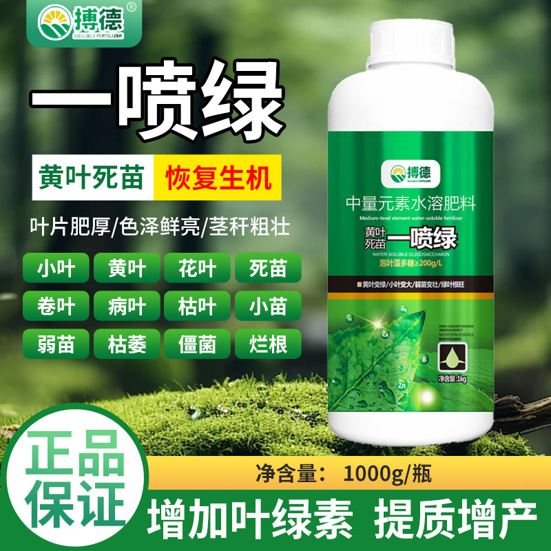 氨基酸一喷绿叶面肥喷施
