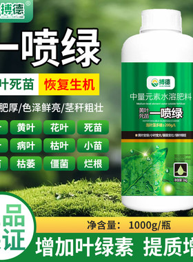 氨基酸一喷绿叶面肥喷施