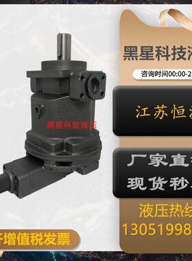 江苏恒源柱塞油泵HY10/16/25/32/40/45/63/71/80/100Y-RP津达油泵