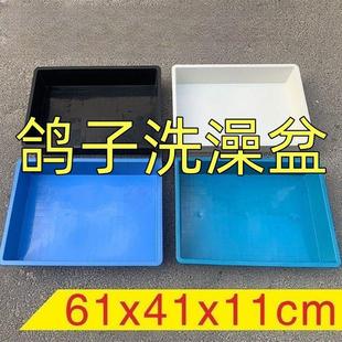 防摔用品用具塑料方盆养殖箱 鸽子洗澡盆赛鸽信鸽专用大号浴盆加厚