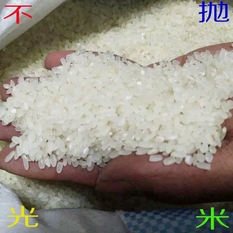 五常长粒香大米5kg农家自产不抛光米东北无常稻花香米