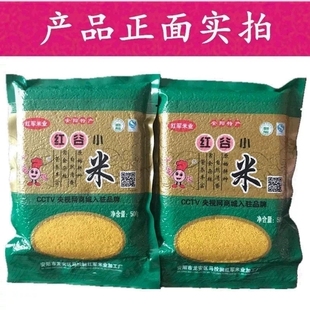 试吃 河南安阳马投涧红军精选新黄小米农家月子宝米500g 包邮