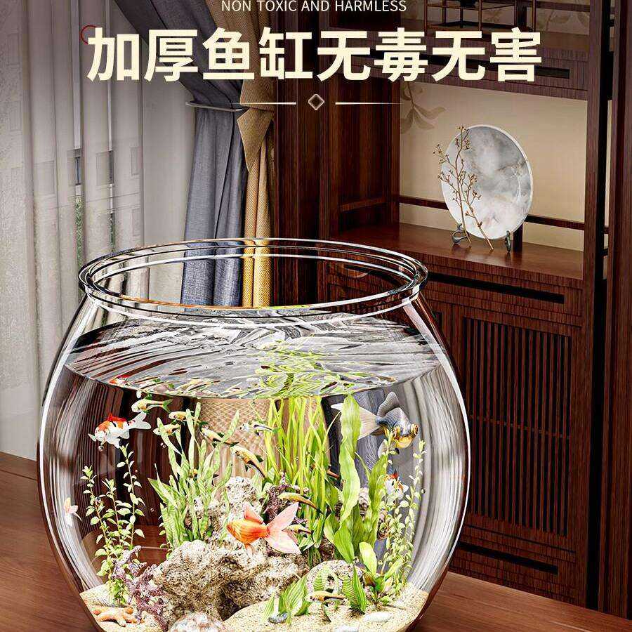 圆形透明仿真玻璃鱼缸|一体成型
