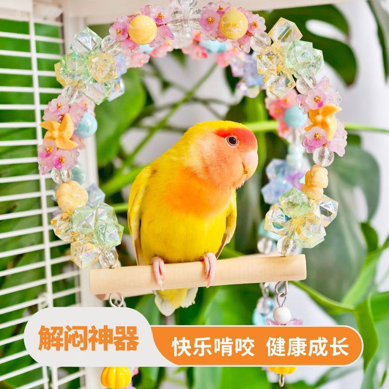 鹦鹉专用撞色花朵秋千吊桥攀爬啃咬磨牙玩具解闷自嗨牡丹玄凤和尚