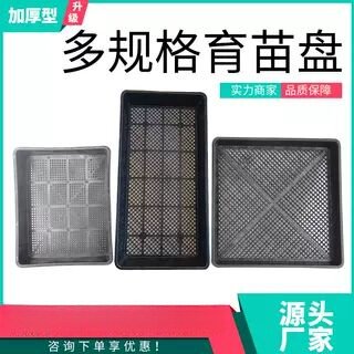 芽菜种植盘加深扦插育多肉闷养箱育苗盘/营养钵