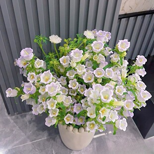 优选酒杯风玲花盆栽四季开花花期长好养耐寒耐热爆花机器阳台庭院