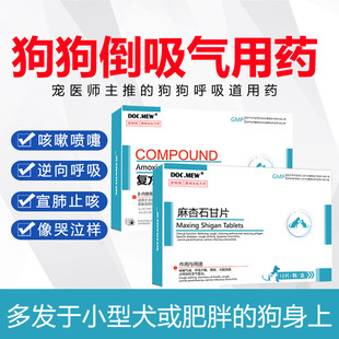 狗狗倒吸气止咳平喘逆向喷嚏急促吸气气管狭窄咔咔咳嗽气喘鹅叫用