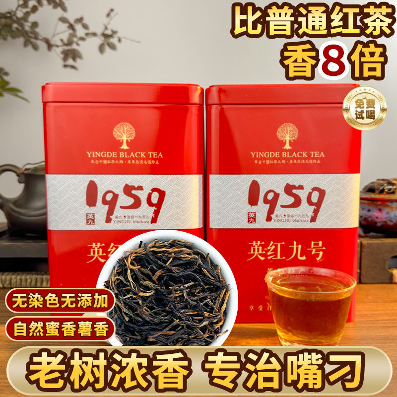 英红九号英德红茶2026明前新茶一级蜜香型1959高端9号送礼