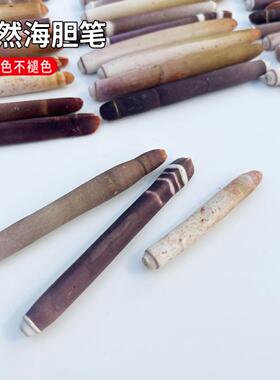 4-10cm天然贝壳海螺海葵枝海胆笔