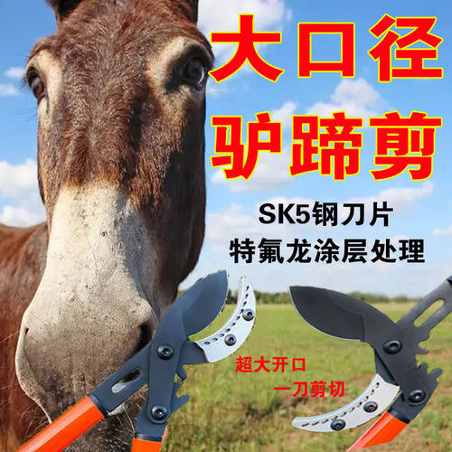 养殖兽用器械修蹄90%师傅的选择