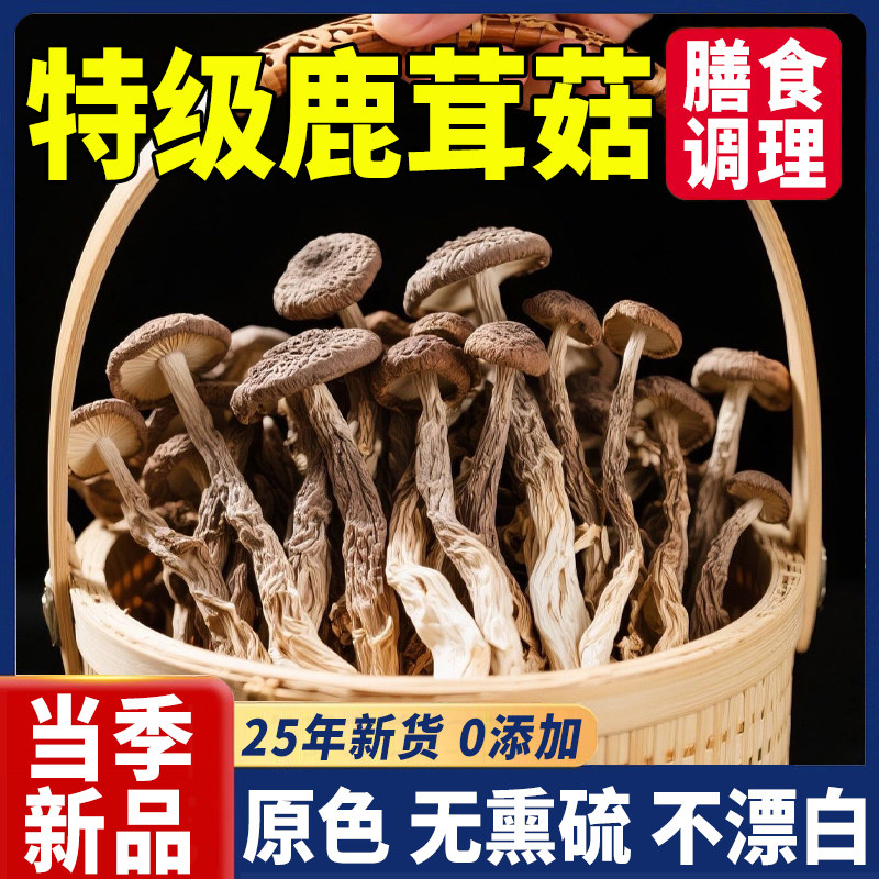 鹿茸菇干货特级正品官方旗舰店正宗农家优质特一级茶树菇