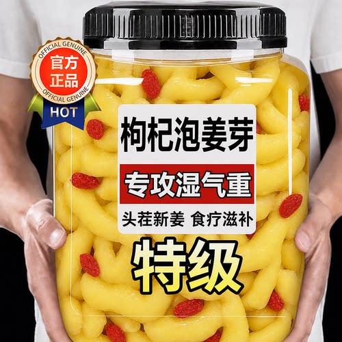 正宗枸杞泡姜芽官方旗舰店山东淄博特产新鲜嫩姜人参泡菜下饭菜