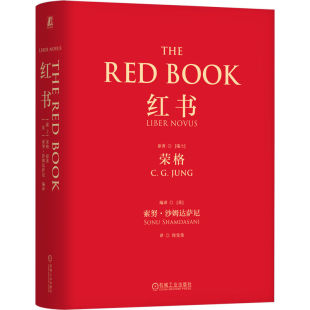 梦境幻影 附赠明信片 荣格 应用方法 精神分析师 分析心理学 古斯塔夫 手稿插图 心理咨询治疗 红书 手绘影像 卡尔