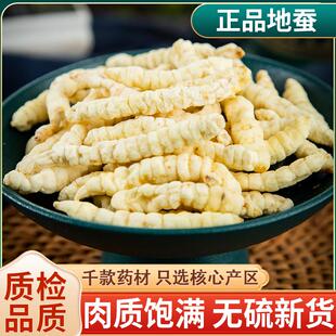 云南虫草参正品 草石蚕250g中药材地蚕土冬虫草 白虫草泽兰根地参