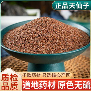 天仙子 药材红天仙子无硫熏正品天仙子可做面膜 粘稠度高