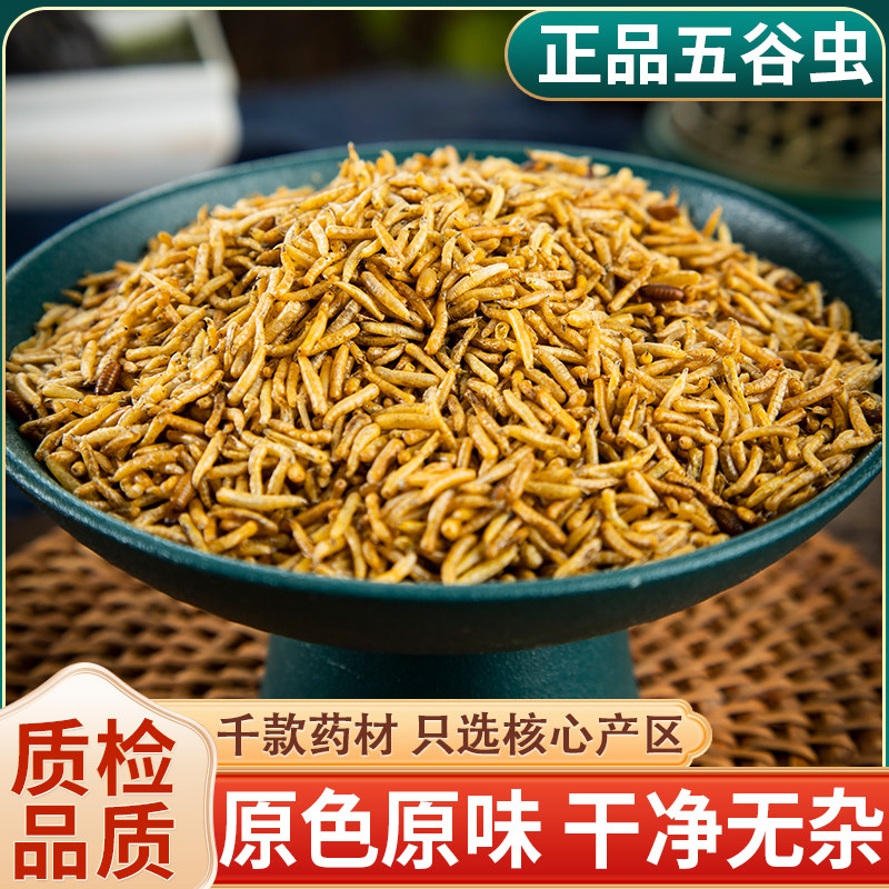中药材正品五谷虫 黄金无谷虫 干蛆 蝇蛆水仙子500克新货无硫包邮