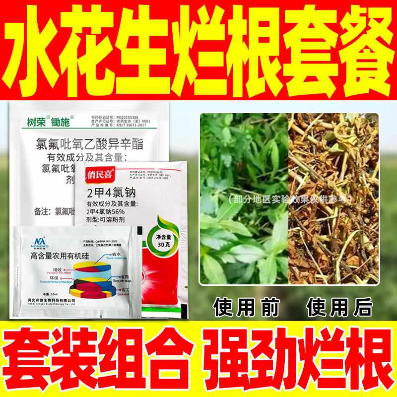 水花生克星烂根剂强力除草剂鱼塘空心莲子氯氟吡氧乙酸2甲4四氯钠