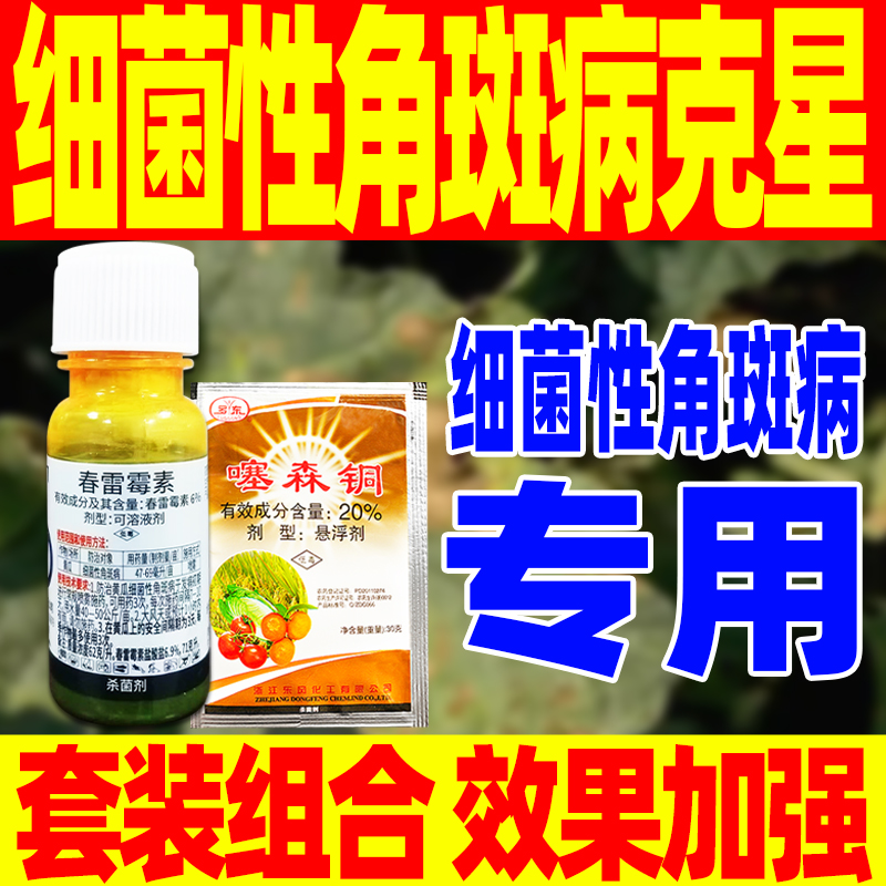 细菌性角斑病专用药细菌性角斑病克星专用杀菌剂噻森铜酮农药正品