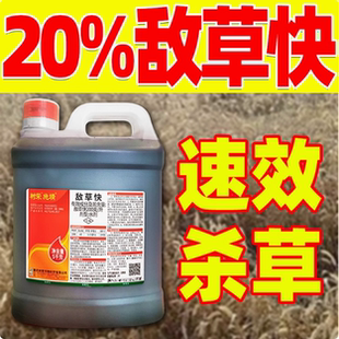 除草剂百草秙果园荒地敌草怏强力农药 树荣20%敌快草杂草除草正品