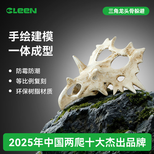 其鳞恐龙头骨躲避攀爬爬宠缸造景