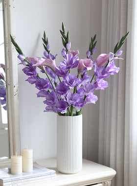 仿真花马蹄莲客厅插花摆件高档剑兰假花桌面电视柜装饰拍照道具